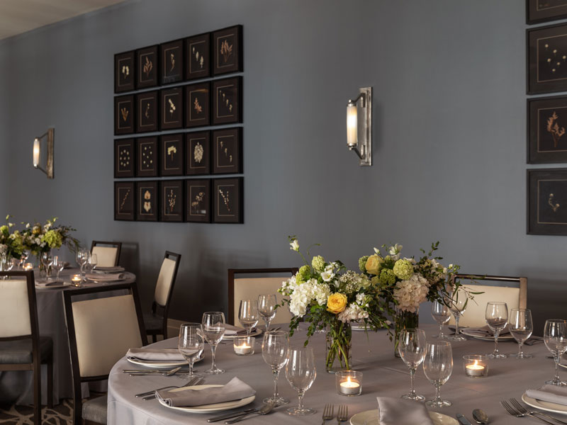 pacci restaurant space