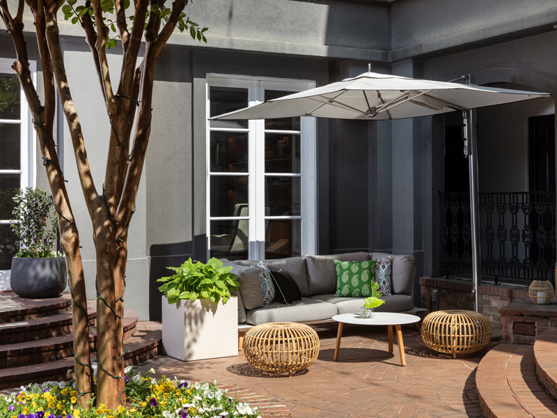 pacci restaurant space